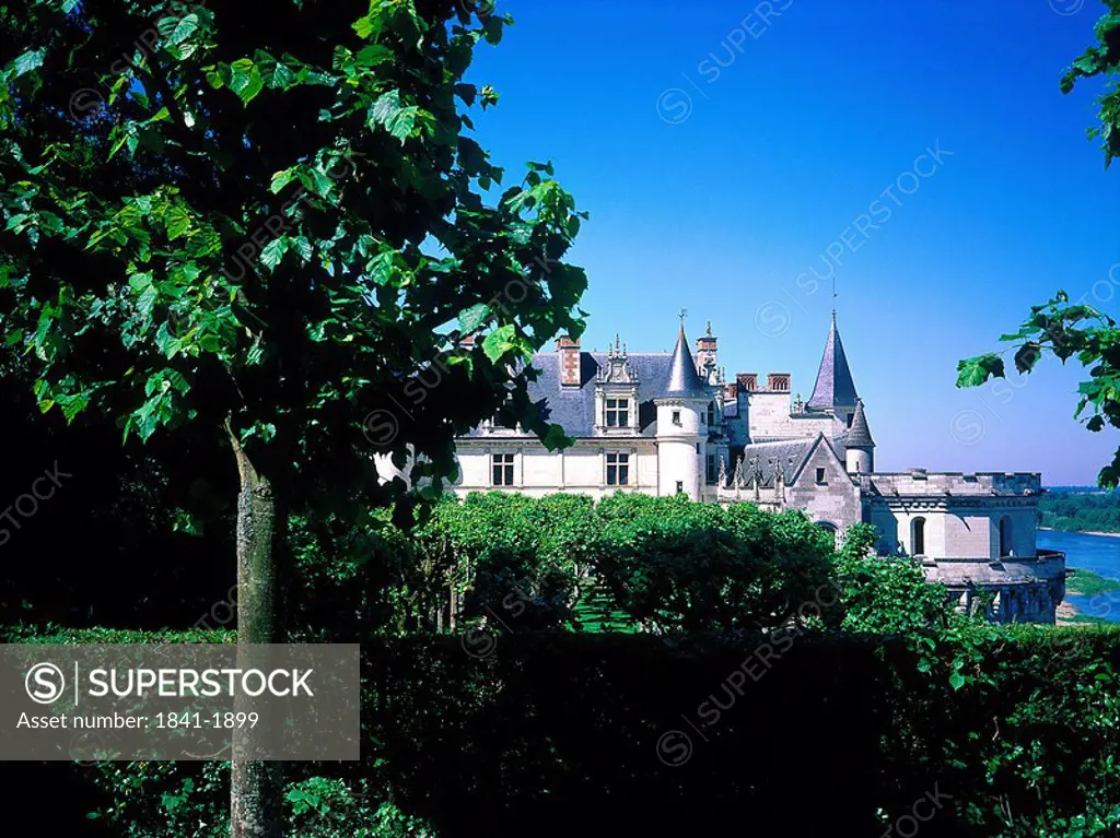 Tree in front of castle, Chateau Damboise, Indre_Et_Loire, France