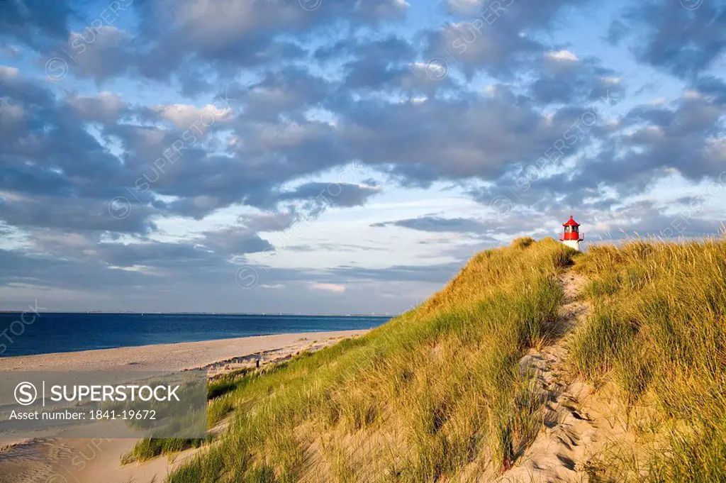 Dunes at a coast, lighthouse List_Ost in the background, Ellenbogen, Sylt, Germany