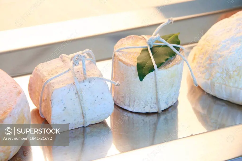 Close_up of assorted cheeses