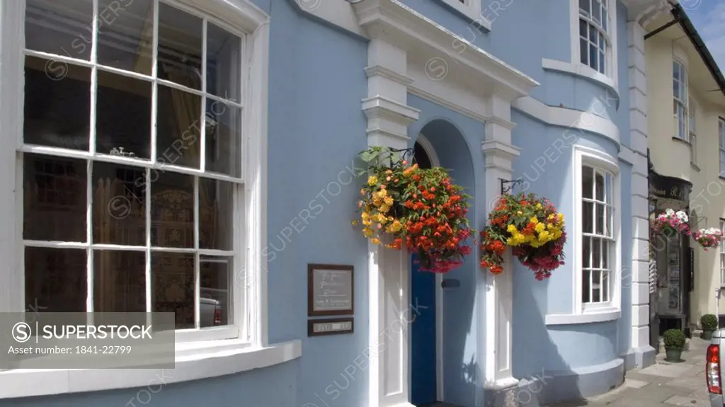 Flower on entrance of building, Pilton, Barnstaple, Devon, England