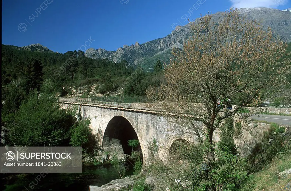 Bridge across river in valley, Vecchio River, Corsica, France