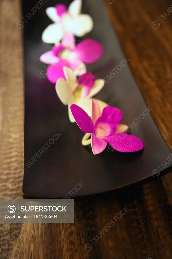 Close_up of Orchid flowers on wooden plate