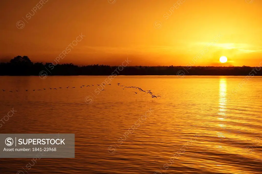 Gambia river, Gambia, West Africa, Africa