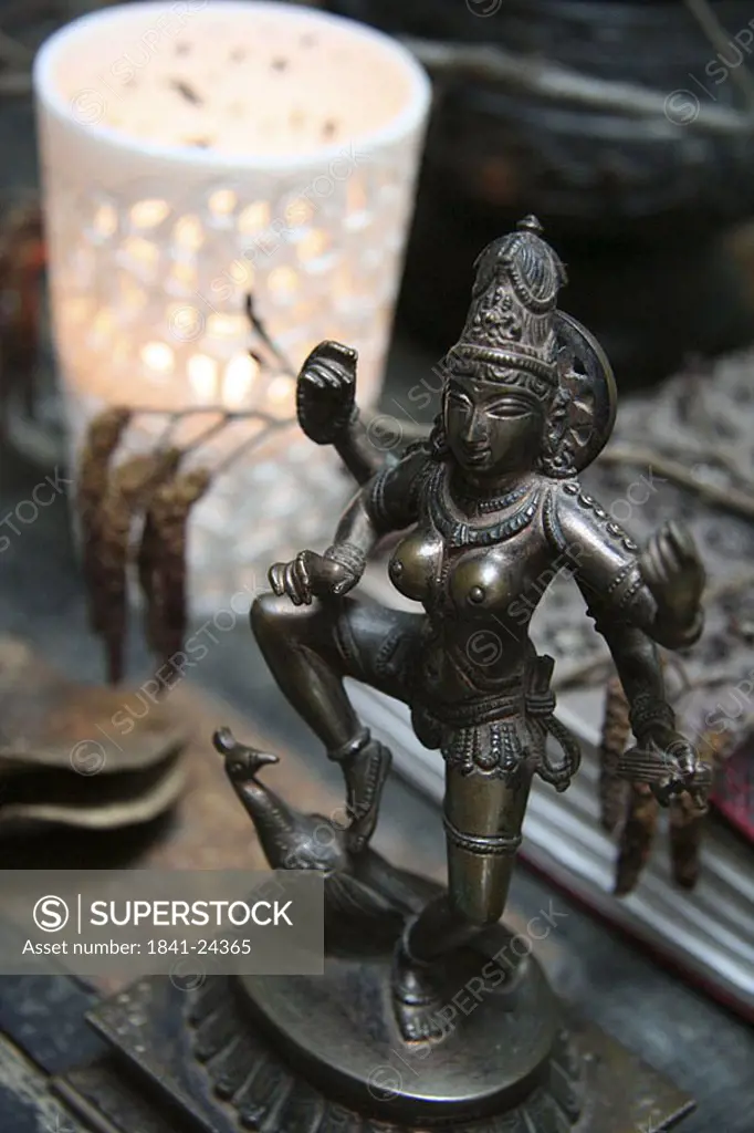 Close_up of Hindu Goddess Saraswati