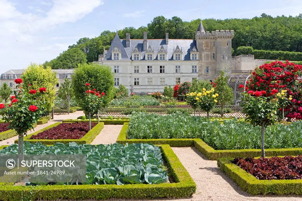 Formal garden in front of castle, Chateau De Villandry, Indre_Et_Loire, France