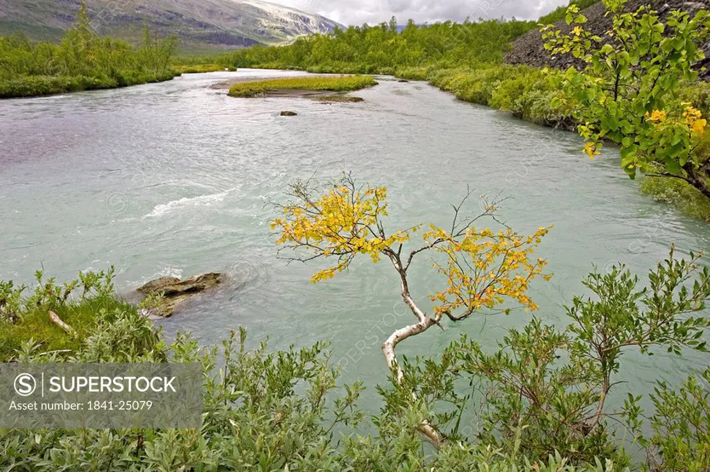 High angle view of river, Rapadalen, Sarek National Park, Jokkmokk Municipality, Lapland Province, Sweden