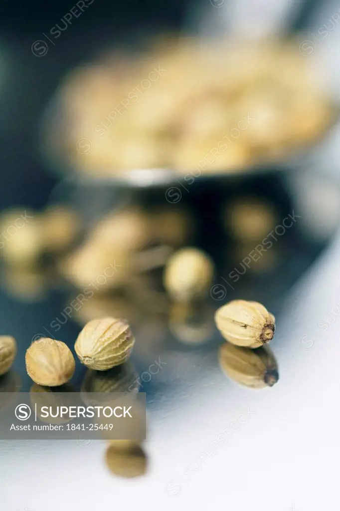 Close_up of coriander seeds