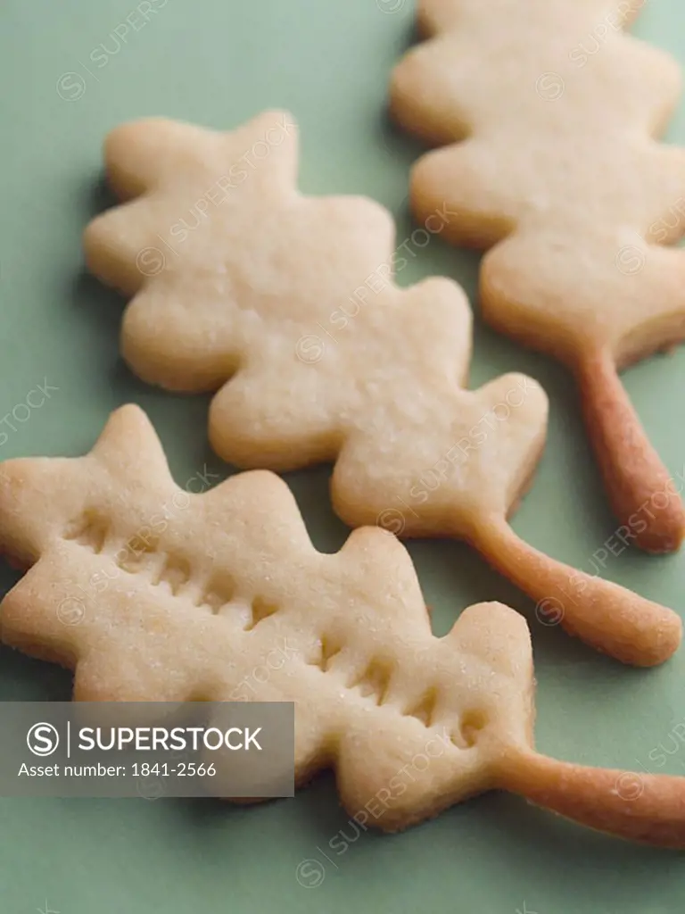 Close_up of leaf shaped cookies with Merry Xmas written