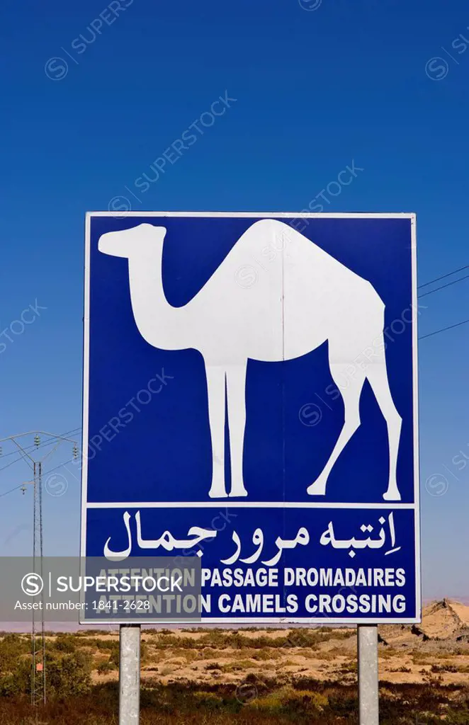 Sign with camel, Tozeur, Tunisia, Africa