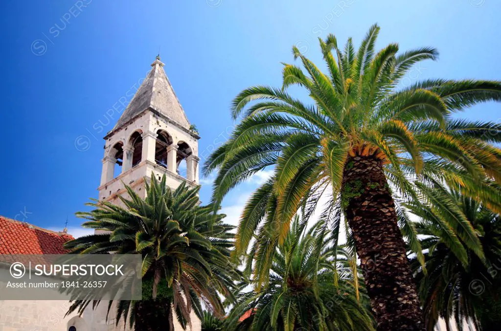 Palm trees in front of church spire of Sveti Nikola Monastery, Trogir, Croatia, low angle view