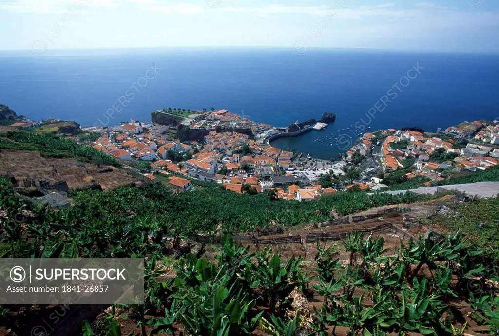 Town at coast, Camara De Lobos, Madeira, Portugal