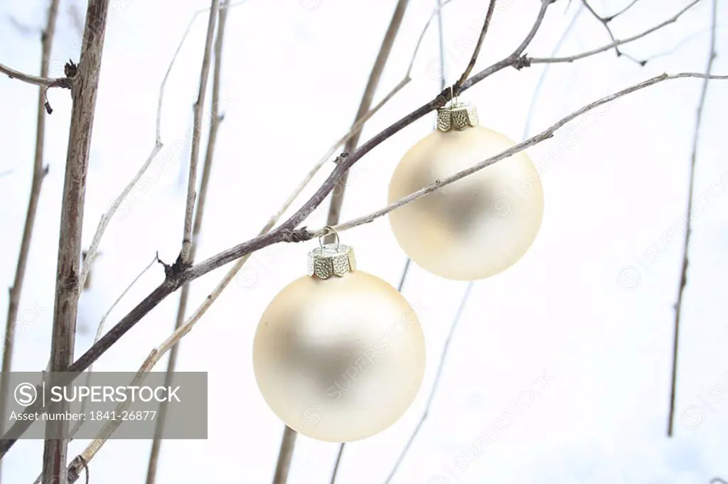 Close_up of Christmas ornaments