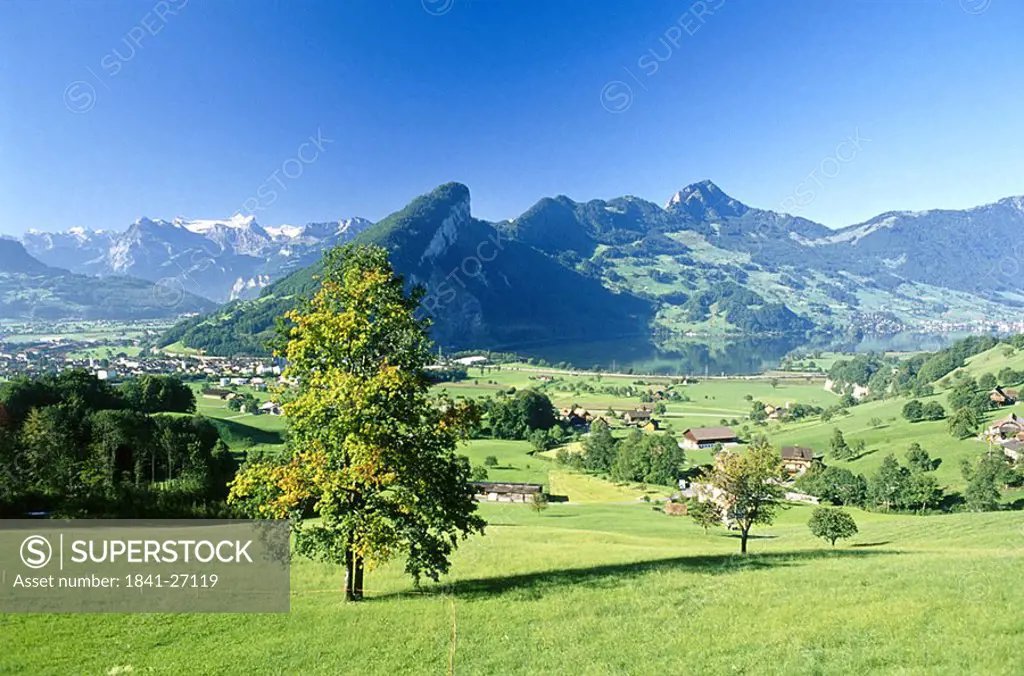 Trees and houses on landscape, Canton Of Schwyz, Switzerland