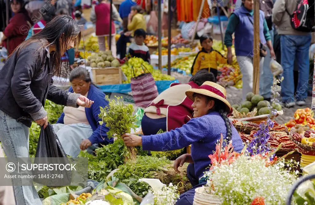 People shopping in market, Pisac, Urubamba Valley, Peru