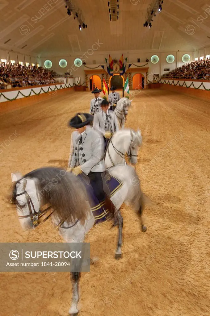 Men riding horses in stadium, Jerez De La Frontera, Andalusia, Spain