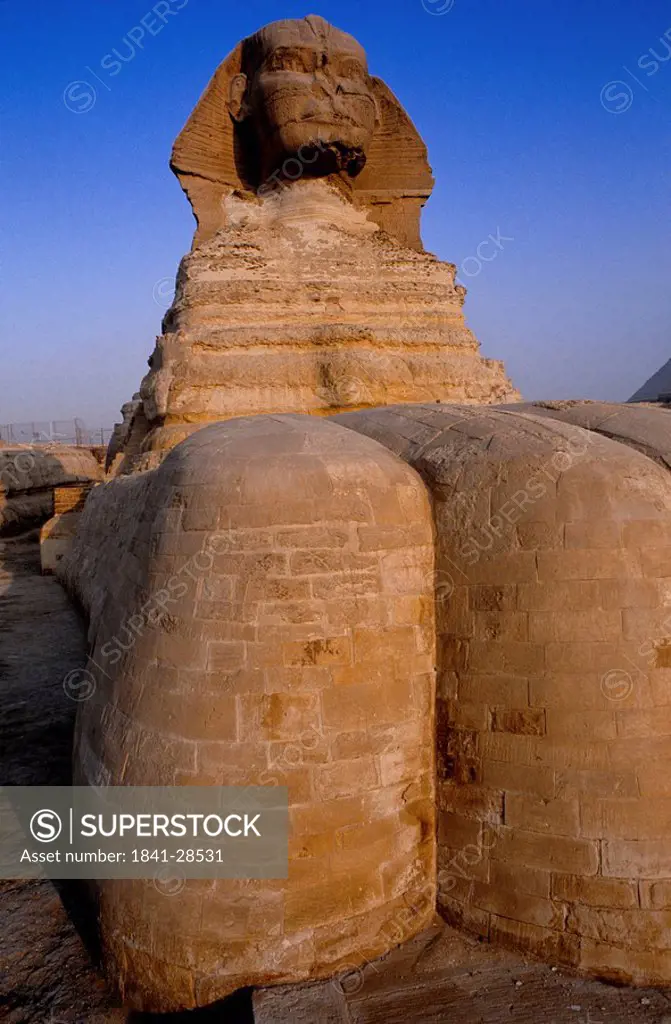 Low angle view of Sphinx, Giza, Egypt, Africa