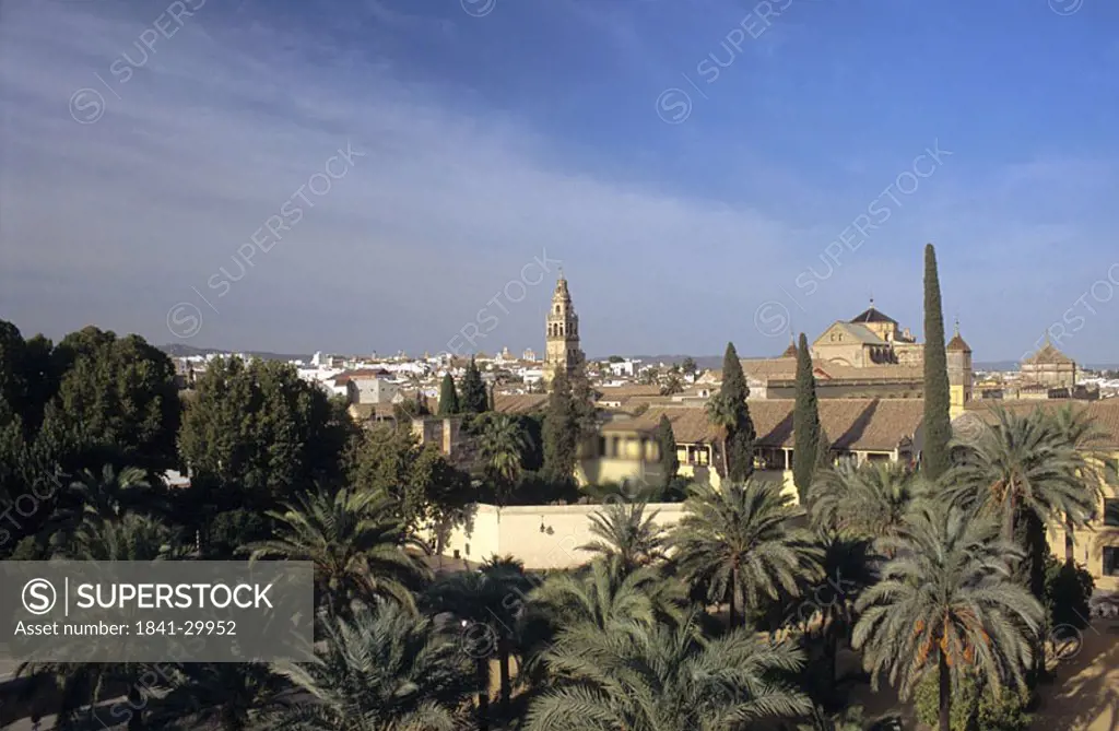 High angle view of palm trees in city, Cordoba, Andalusia, Spain