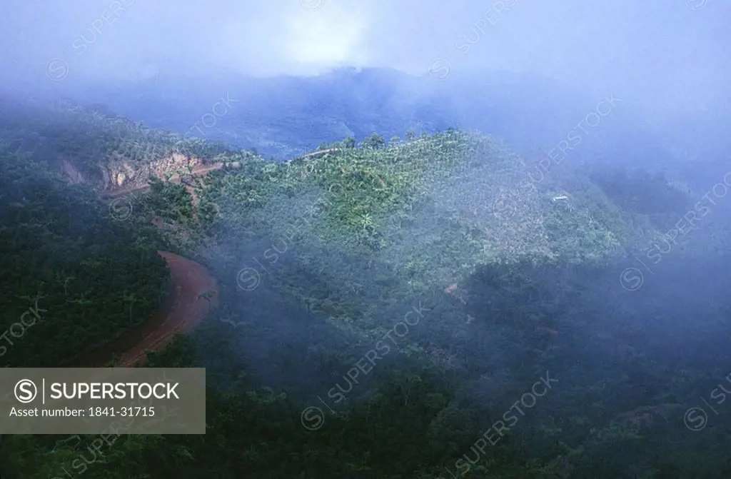 High angle view of forest covered with fog, Guatemala, Mexico