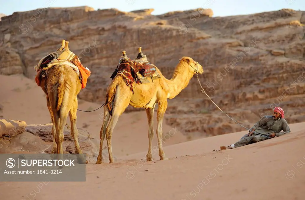 Man with two camels, Wadi Rum, Jordan, Asia