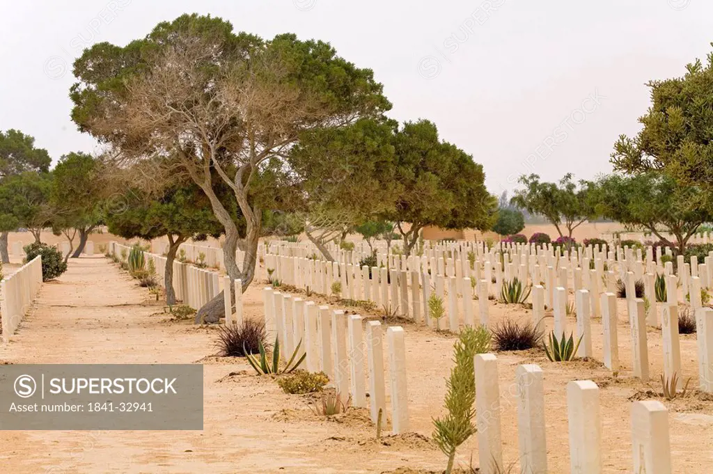 Graves in military cemetery, El Alamein, Western Desert, Egypt