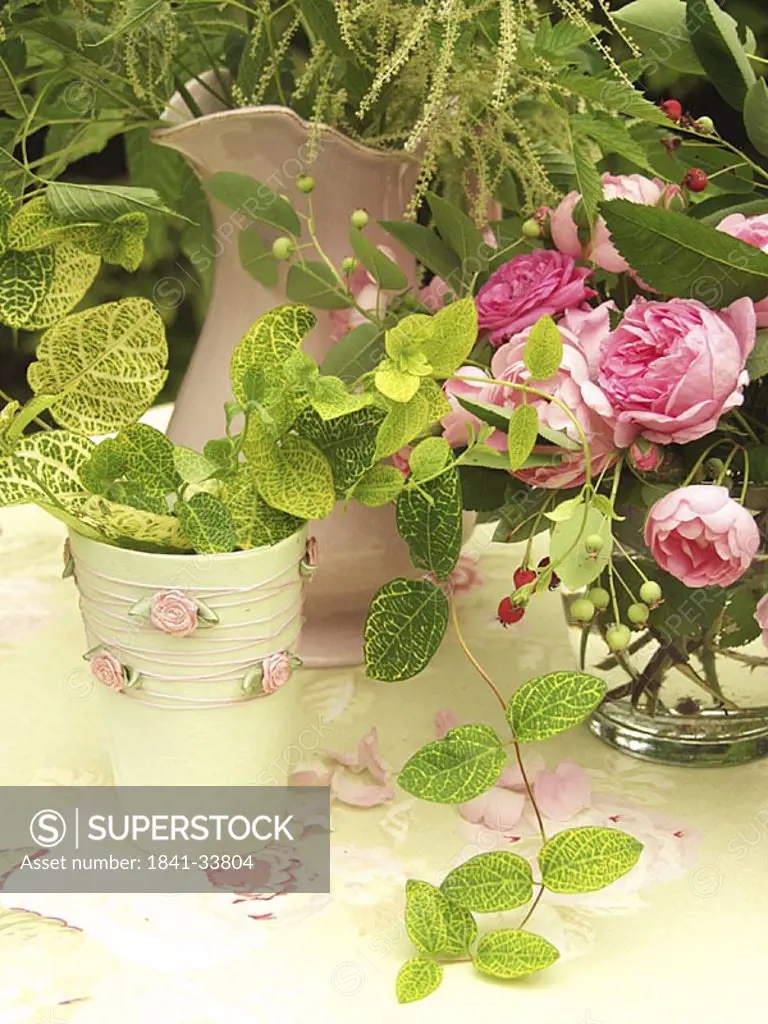 Close_up of potted plant and flowers in vases