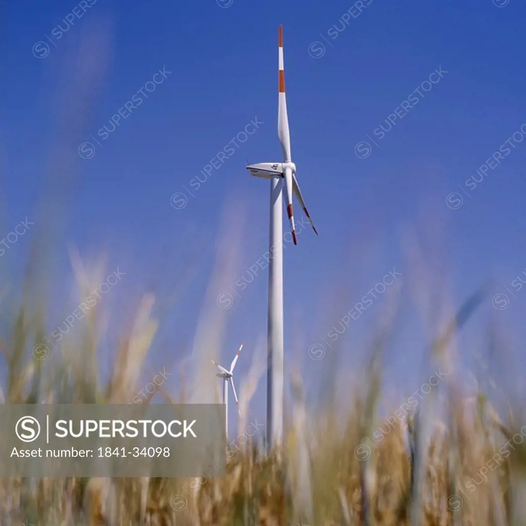 Wind turbines in wheat field