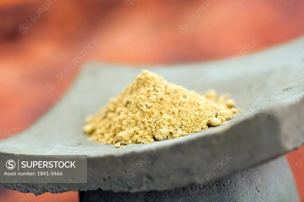 Close_up of coriander powder