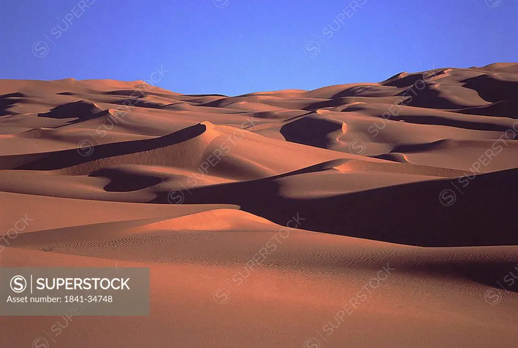 Sand dunes in desert, Libyan Desert, Libya