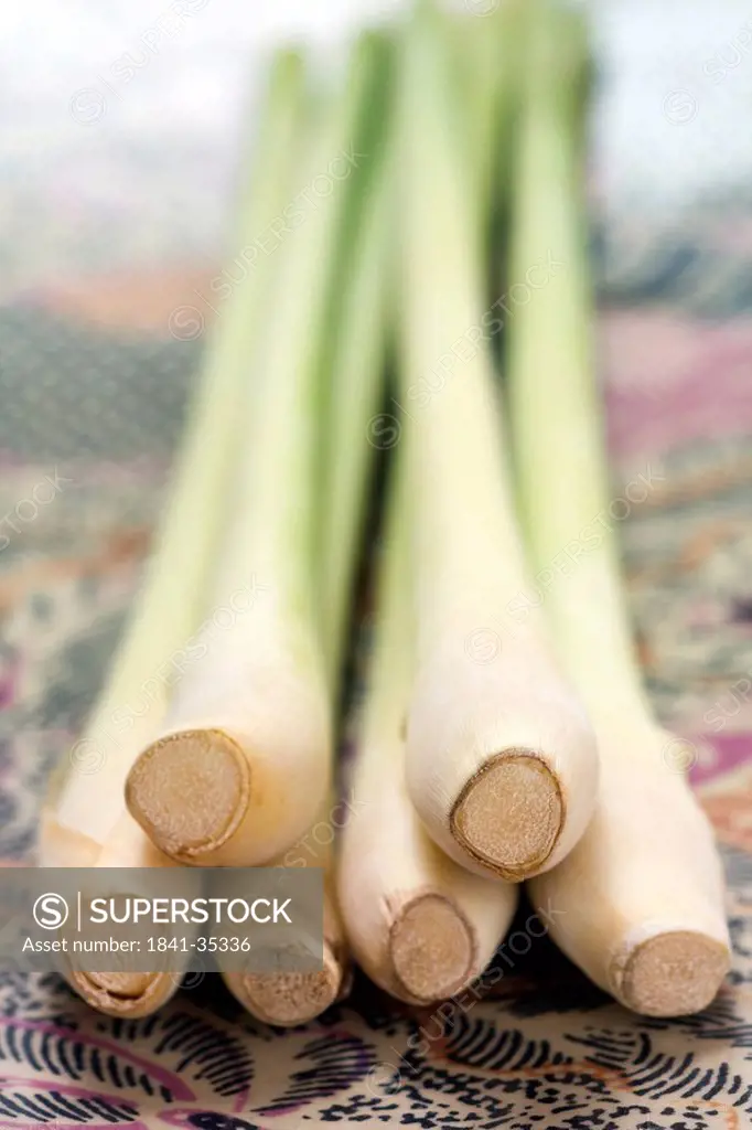 spring onions, close_up