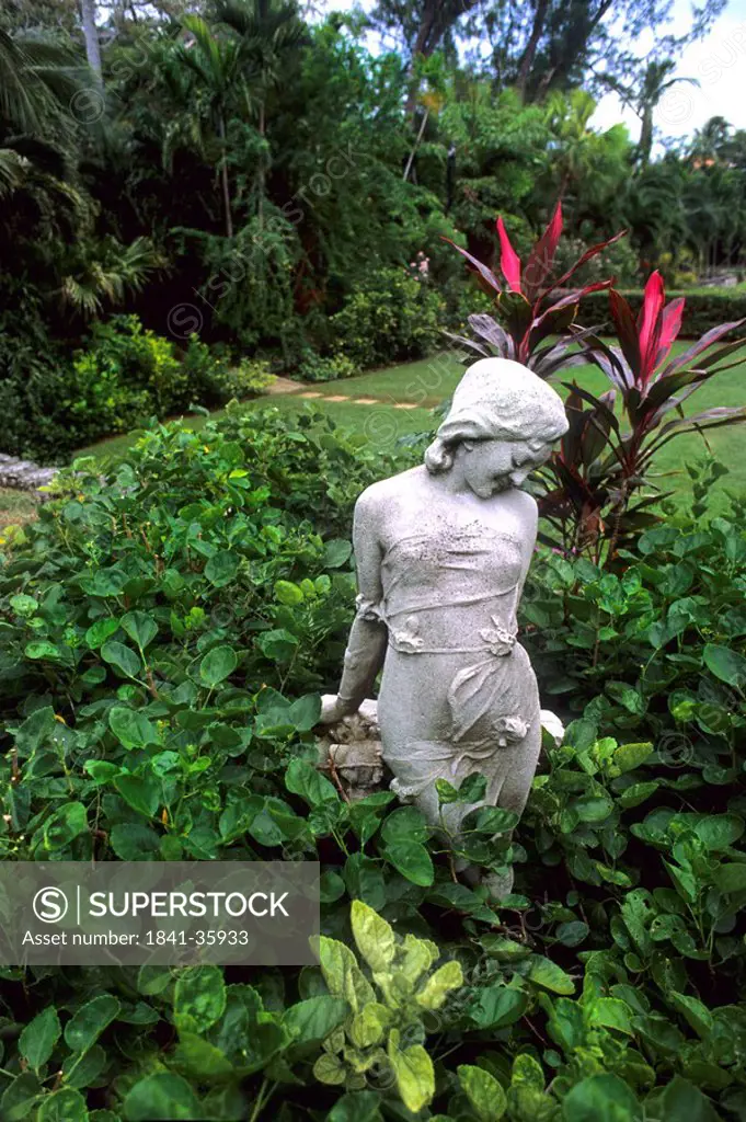 Statue in garden, Bahamas