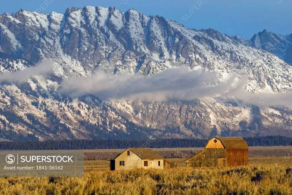 Houses in field with mountain in background, Grand Teton National Park, Wyoming, USA