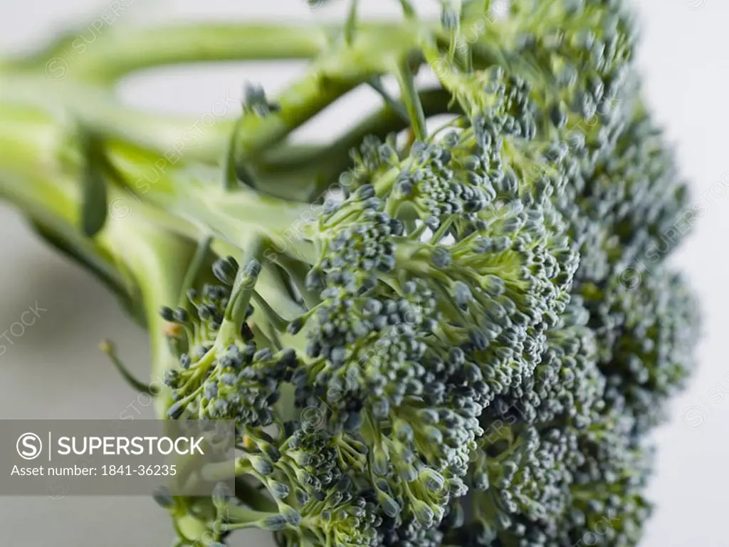 Close_up of broccoli