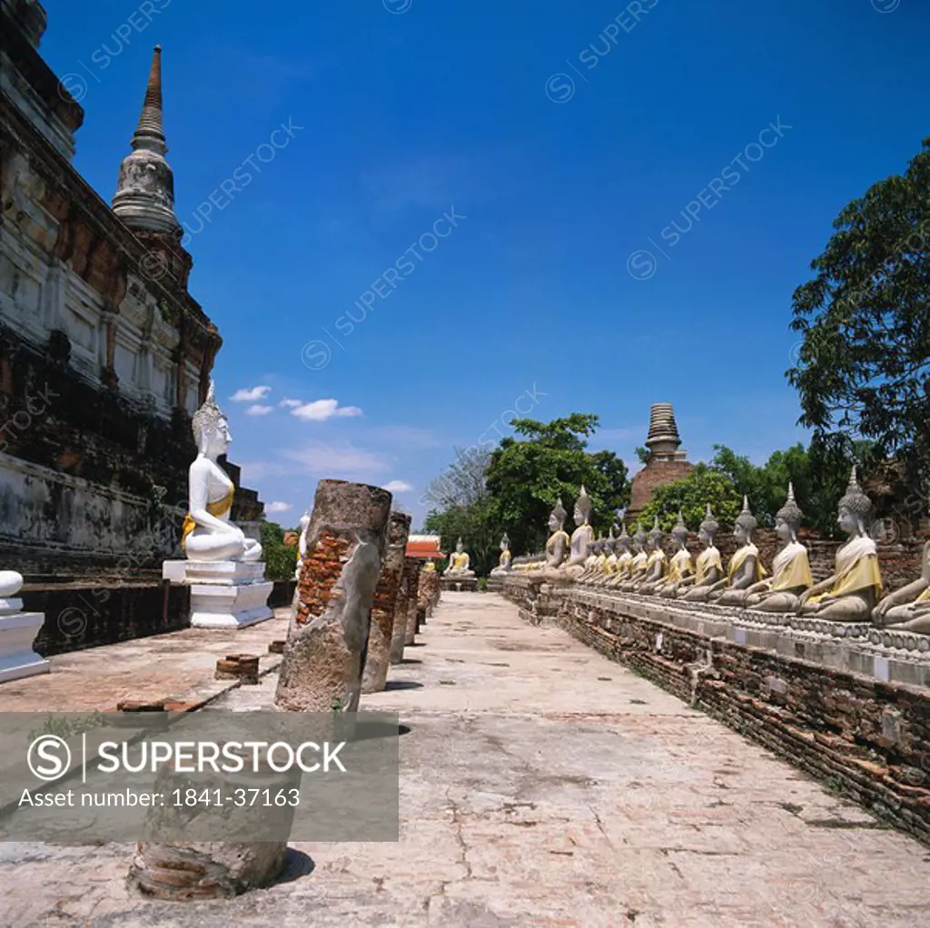 Buddha statues at ancient temple, Ayudhya, Thailand
