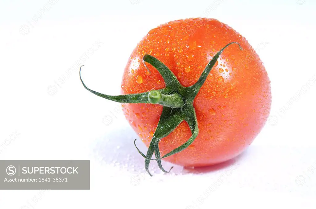 Water droplets on tomato