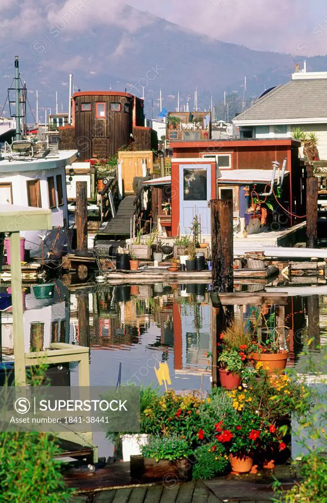 High angle view of houseboats, Sausalito, San Francisco, California, USA