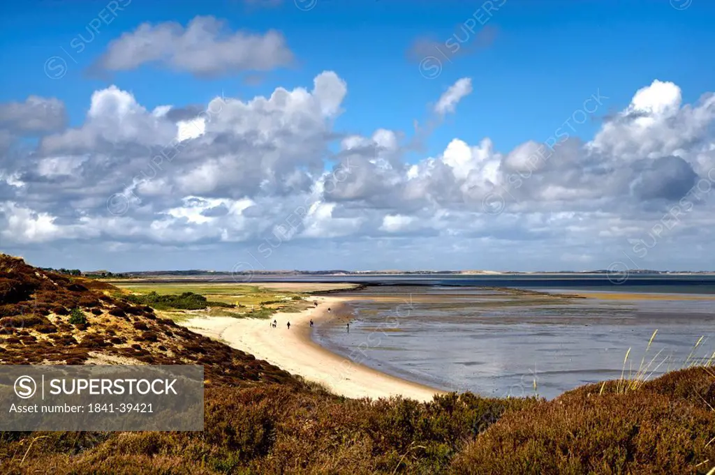 View of the beach of Wenningstedt_Braderup, Sylt, Schleswig_Holstein, Germany, elevated view
