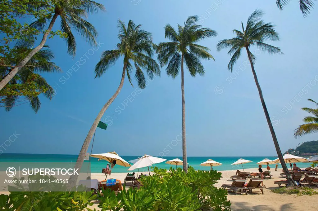 Palm beach, Chaweng Beach, Ko Samui, Thailand