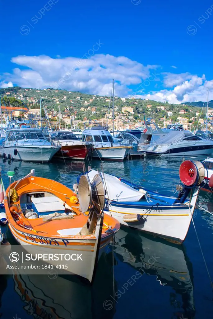 Boats at harbor, Santa Margherita Ligure, Genoa Province, Liguria, Italy