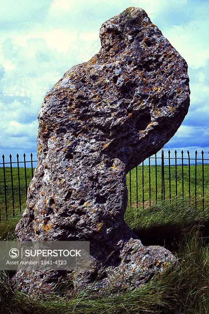 Megalithic stone in field, Salisbury Plain, Wiltshire, England