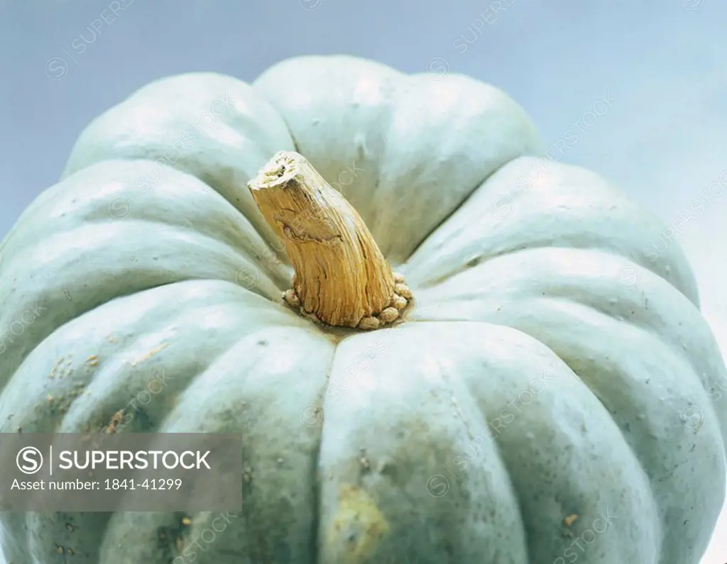 Close_up of pumpkin