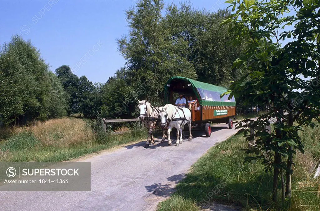 Tourists in horse drawn carriage wagon, Lower Saxony, Germany