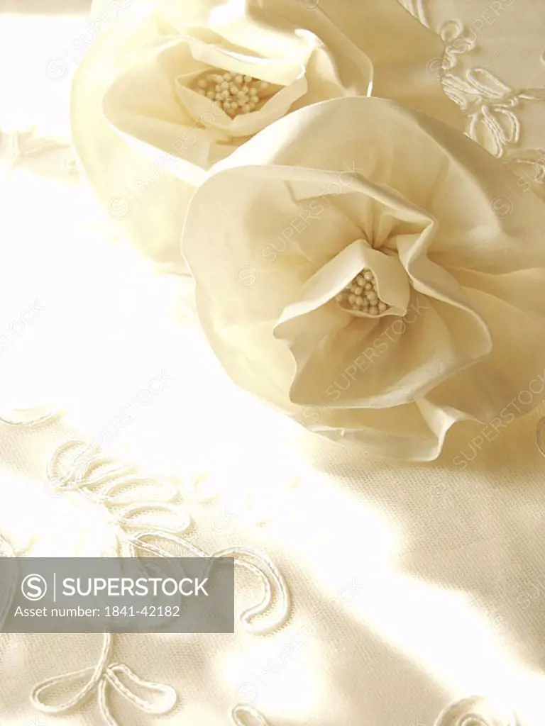 Close_up of wedding dress