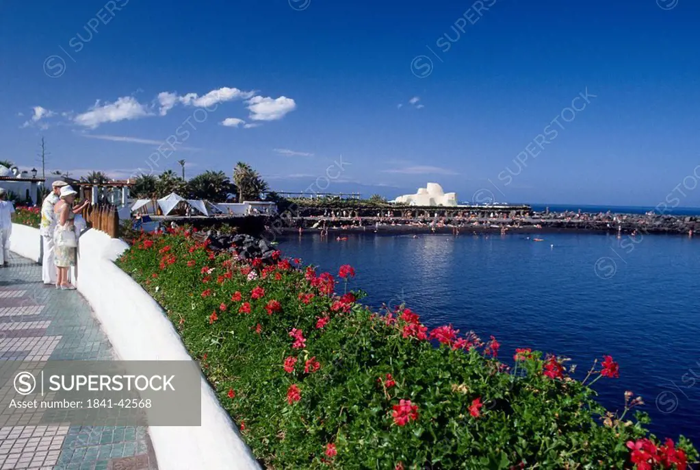 Flower plants at waterfront, Martianez Lake, La Laguna, Tenerife, Canary Islands, Spain