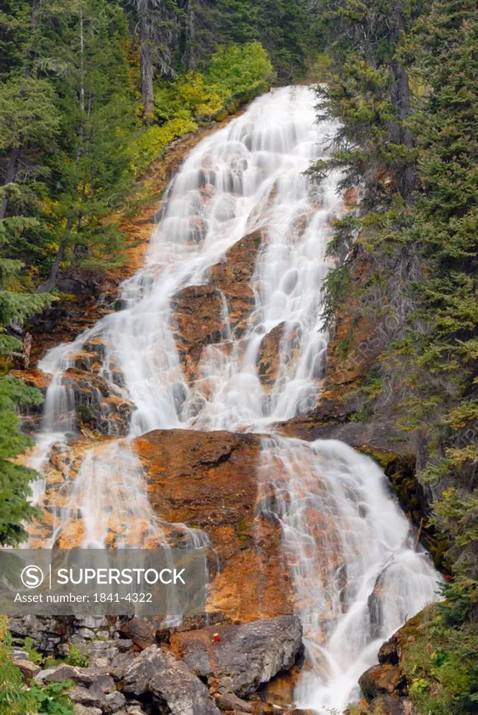Waterfall in forest, Anaconda Pintler Wilderness, Montana, USA
