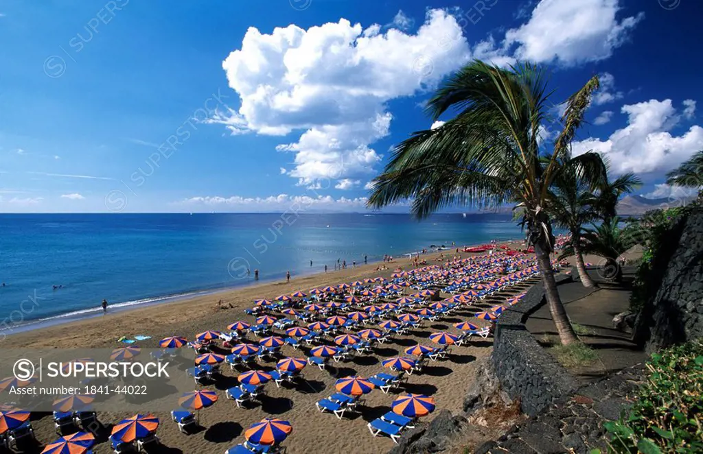 High angle view of tourists and sunshades on beach, Playa Blanca, Puerto Del Carmen, Lanzarote, Canary Islands, Spain