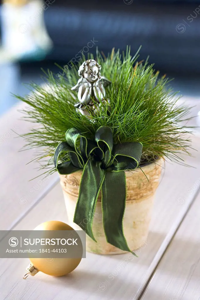 Close_up of potted plant and Christmas ornament
