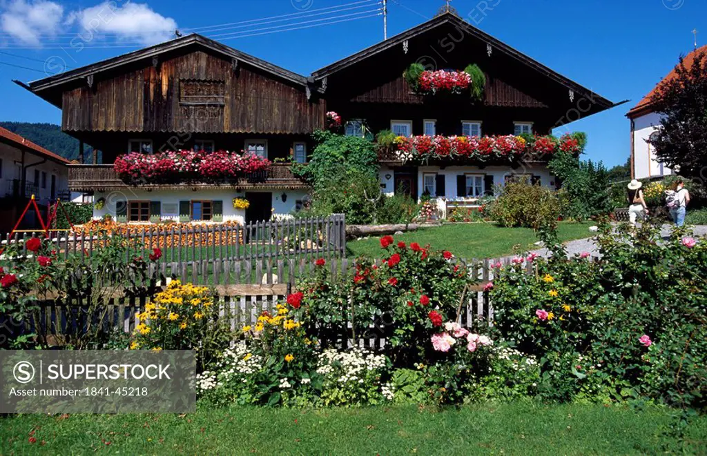 Flowers blooming in lawn in front of houses, Bavaria, Germany