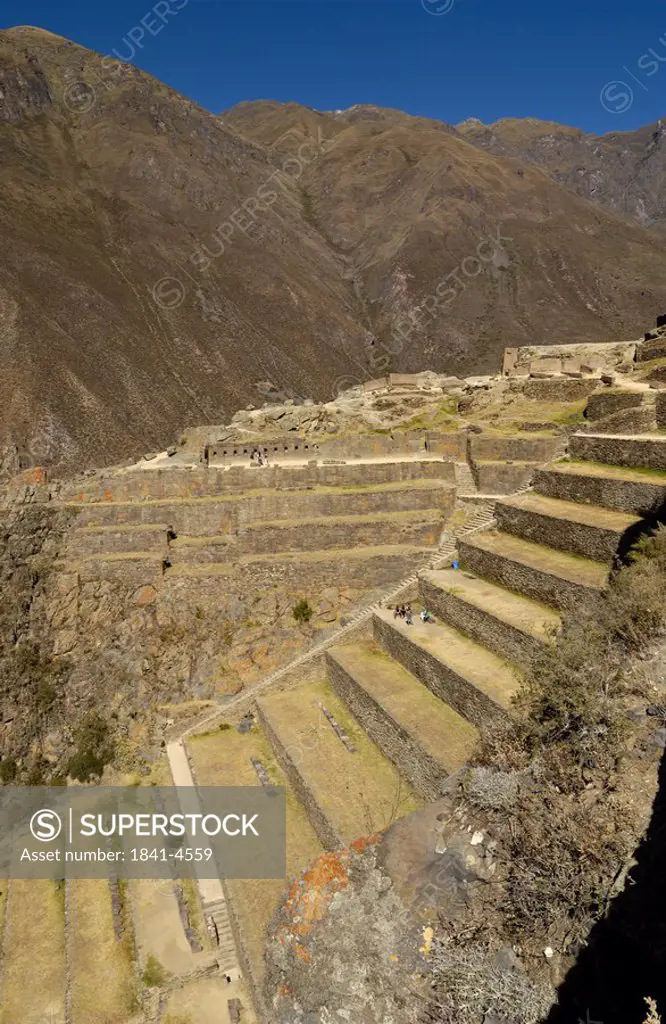 Old ruins of terraced fields, Inca Ruins, Machu Picchu, Cusco Region, Peru