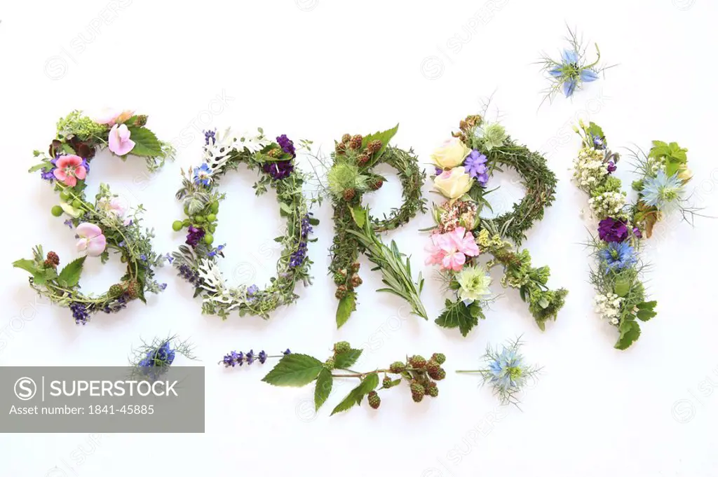 Close_up of flowers forming word Sorry on white background