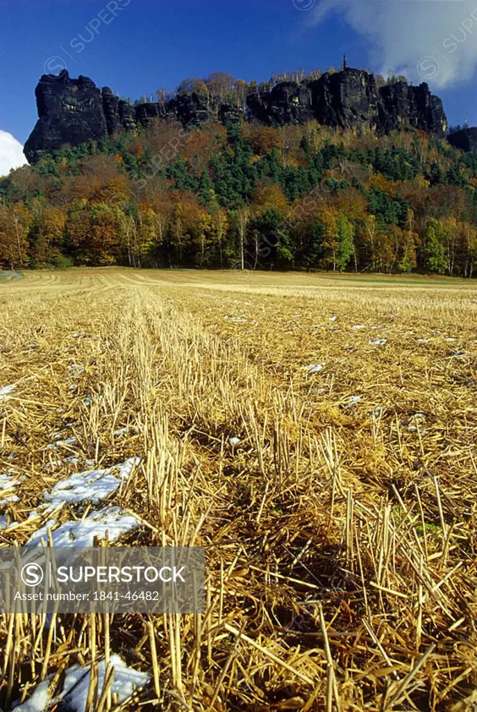 Harvested field in front forest, Saxony, Germany